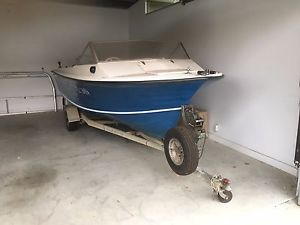 Premier Fibreglass Runabout Boat with 2003 115Hp Evinrude Motor