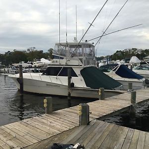 1989 Viking Convertible