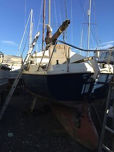 24ft Project boat