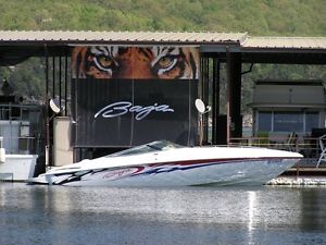 2005 Baja 302 Boss