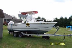 2004 Sea pro 206 CC
