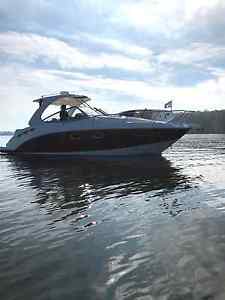 2011 Chaparral signature 310