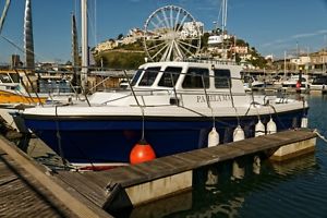 Cygnus Cyclone 30 Patrol in Fantastic condition and ready for her next owner