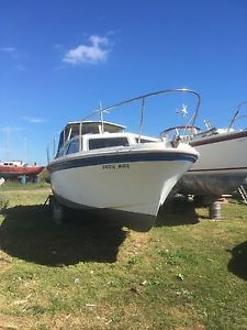 project 31 motor cruiser
