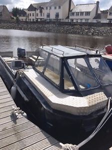 catamaran boat 60hp outboard quick sale fishing boat