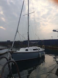 Colvic 26 coastal cruiser possible PX