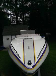 1989 checkmate 251gtx