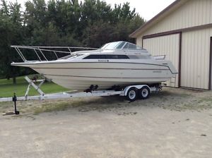 1990 Rinker Fiesta Vee 250