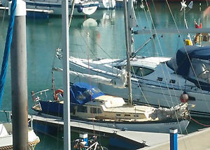 Trident 24 Sailing Yacht