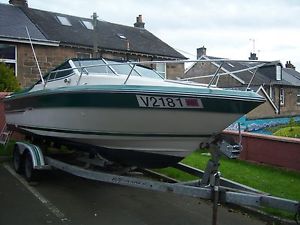 searay cuddy cabin boat