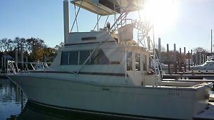 1975 Viking