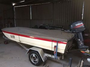 4.2m Savage Jabiru