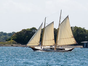 2010 GEORGE STADEL SCHOONER