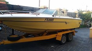 Sea Ray Ski/Fish boat
