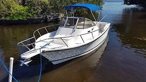 1999 Shamrock 220 Walkaround