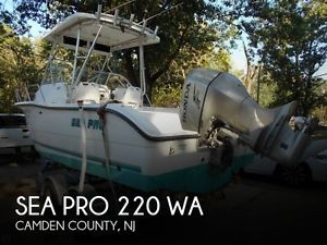 2002 Sea Pro 220 WA