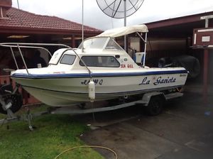 Swift craft Seagull Boat/Half Cabin, Mercury 80hp