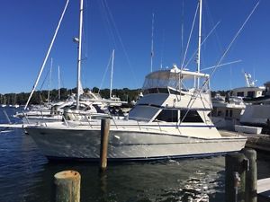 1987 Viking
