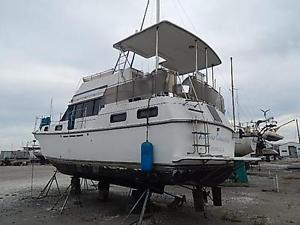 1989 Carver 3607