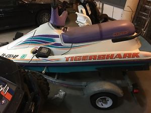 1996 Tigershark