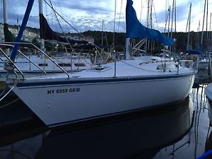 1986 Hunter