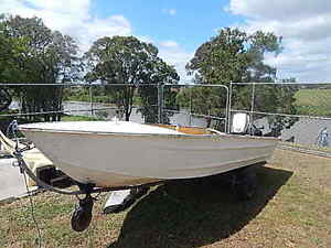 12ft Tinny on trailer