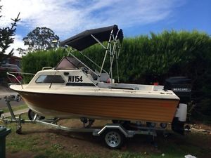 5m half cabin boat  ready to go fishing
