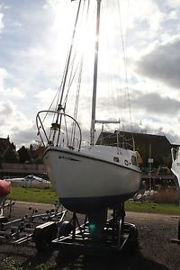 sailing boat  project reduced in price