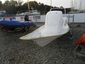 Phantom Rib