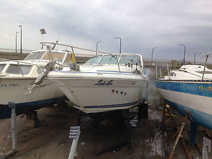 SEARAY 300 PROJECT BOAT