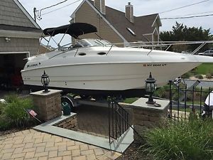 1999 Larson Cabrio 254