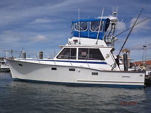 1987 Southbay Voyager