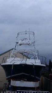 boat pro line 3310 express