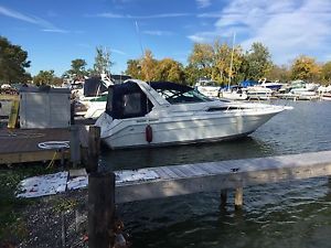 1989 Sea Ray