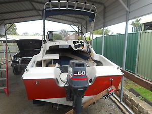 Haines 445C