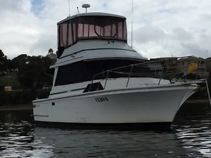 Mariner 31