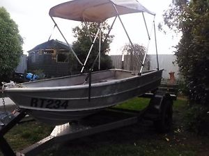 3.1m savage tinny boat