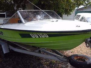Boat 14.5 ft 55 horsepower Evinrude