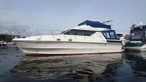 Birchwood TS37 Supersport Flybridge Twin Diesel Motor Boat Cruiser