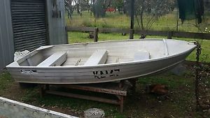 Aluminum 3.1m tinny with 9.8hp motor