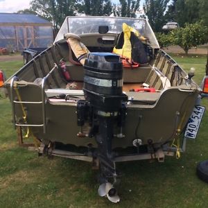 Savage tinny 4.35m