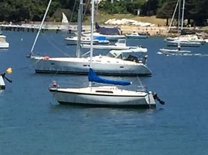 Sailing Boat - Cole 23
