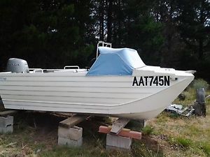 Webster Catamaran 4m Twin Fisher with Centre Console