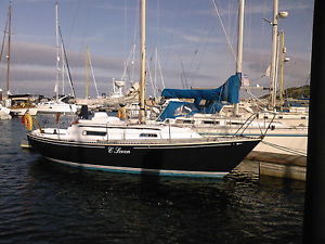 Trapper 500 28ft Yacht
