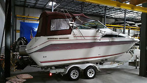 1889 Searay 220 Sundancer