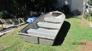 Aluminium Boat Dolphin Tinnie