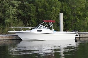 1994 Celebrity 2300 Walkround