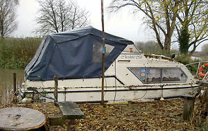 Cheshire Cat – 22’ Buckingham River Cruiser