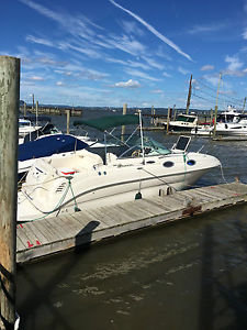 2003 Sea Ray  240 Sundancer