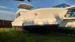 1982 Viking